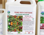 (5L) Chitosan Nông Nghiệp - Vắc Xin thực vật - Phân Bón & Phòng Bệnh Cây Trồng.